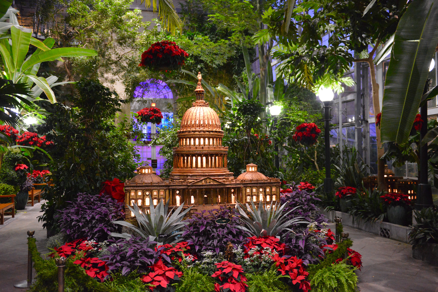 Poinsettias and holiday decorations at the U.S. Botanic Garden