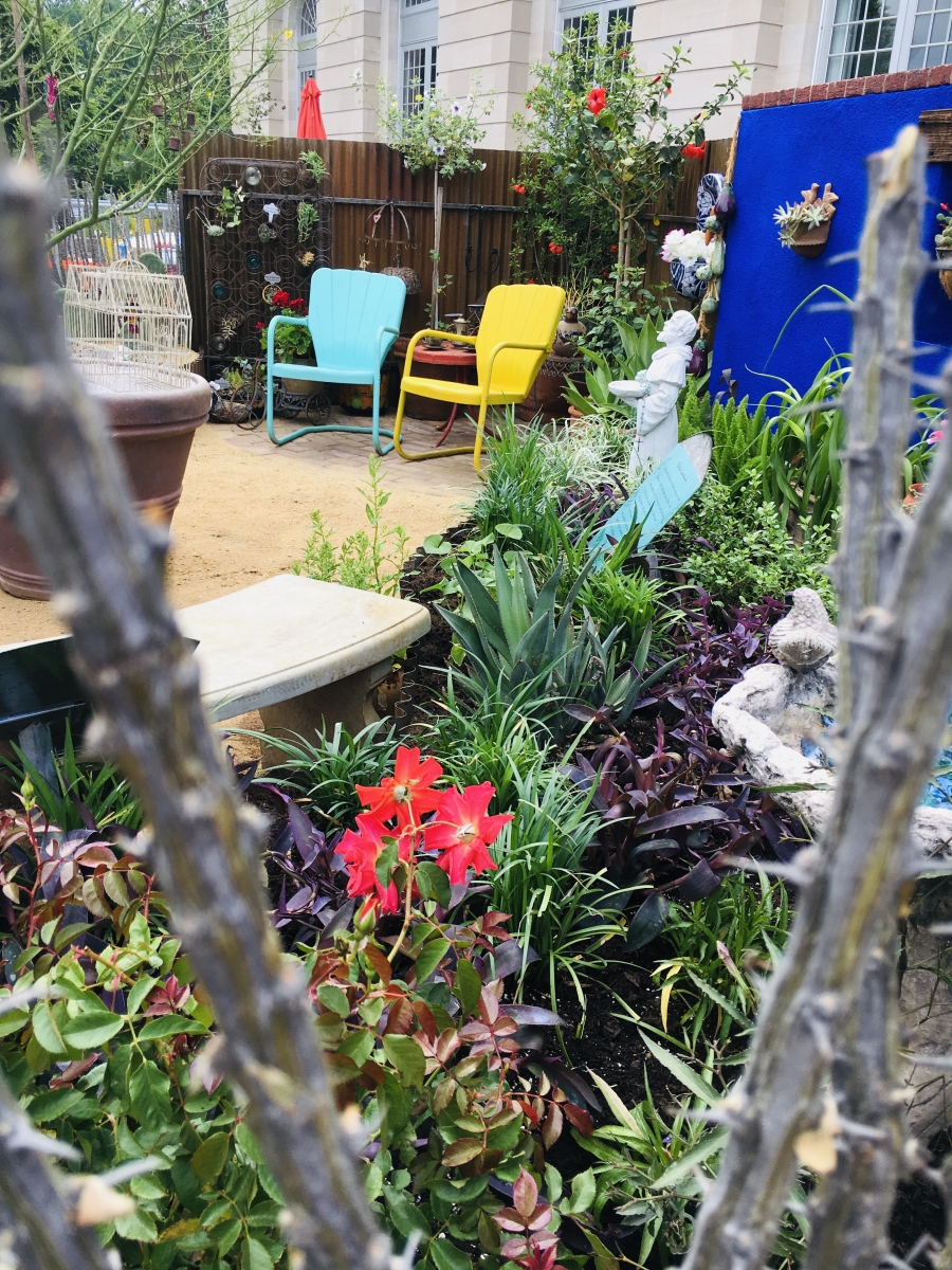 A view inside Tucson Botanical Gardens’ barrio garden installation