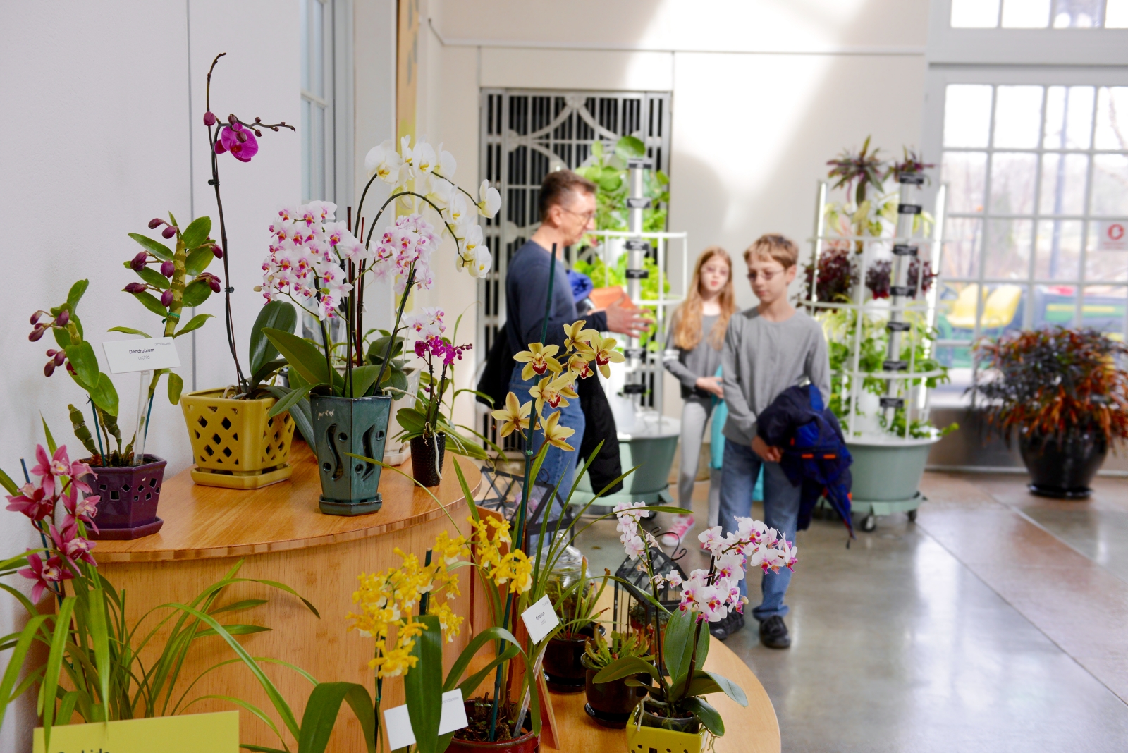 visitors explore an orchid display