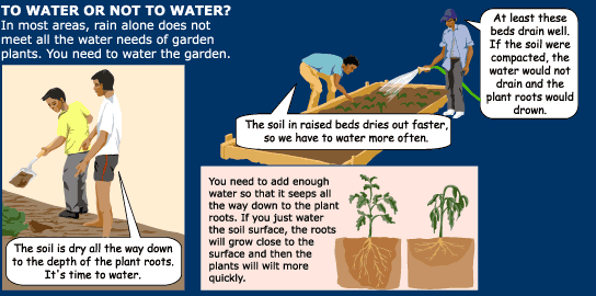 water cycle