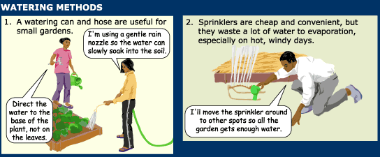 watering methods