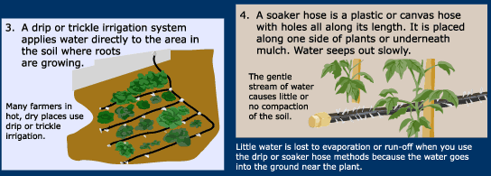 watering methods