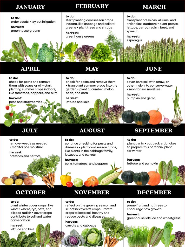 Calendar shows what to plant and harvest each month of the year.