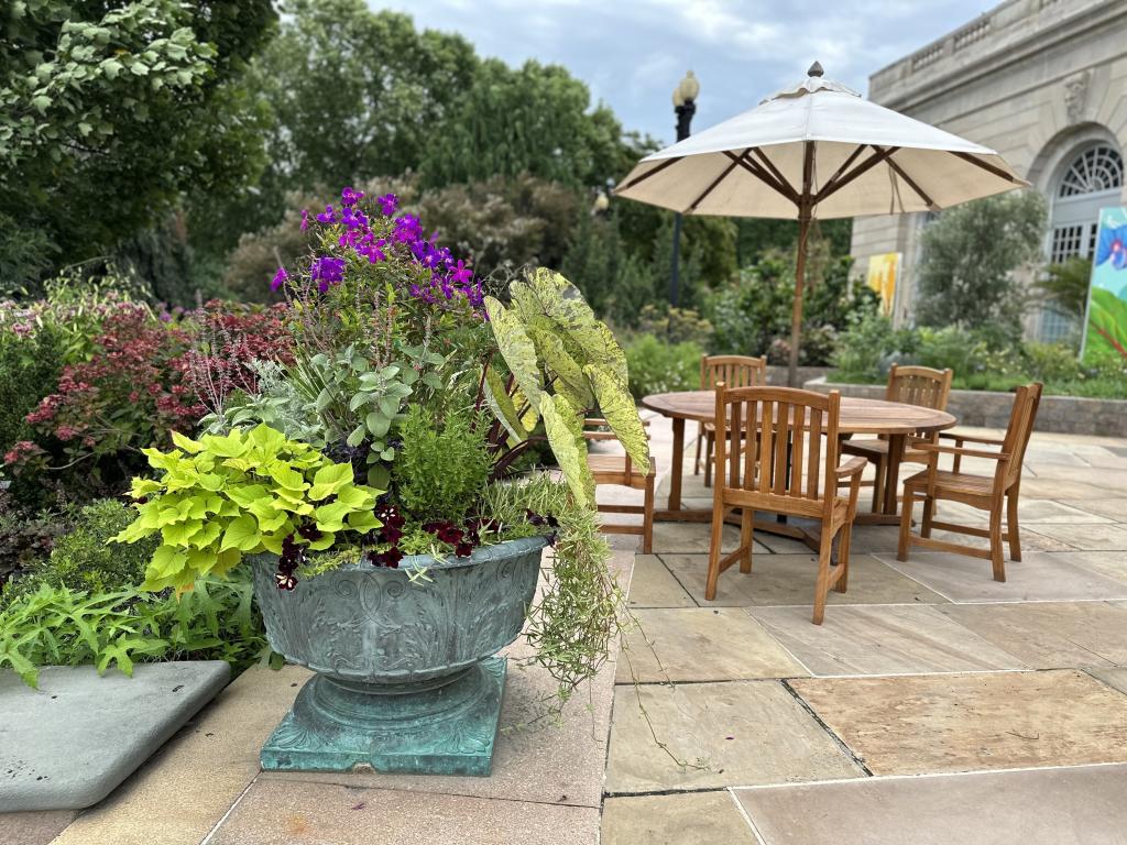 A terrace garden features a large urn full of plants in multiple colors of green, plus a wooden table and chairs with a canvas umbrella