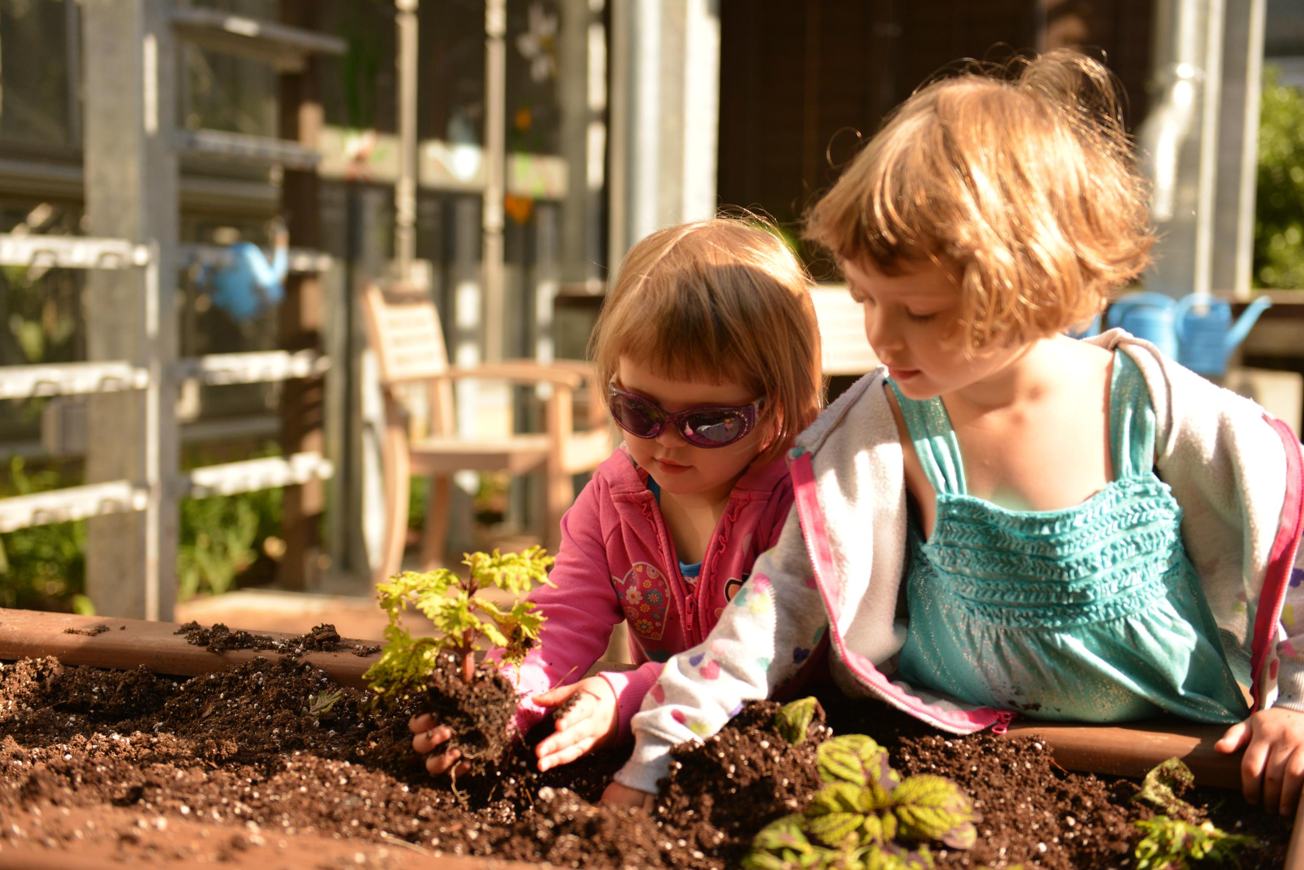 Two girls plant a green plant