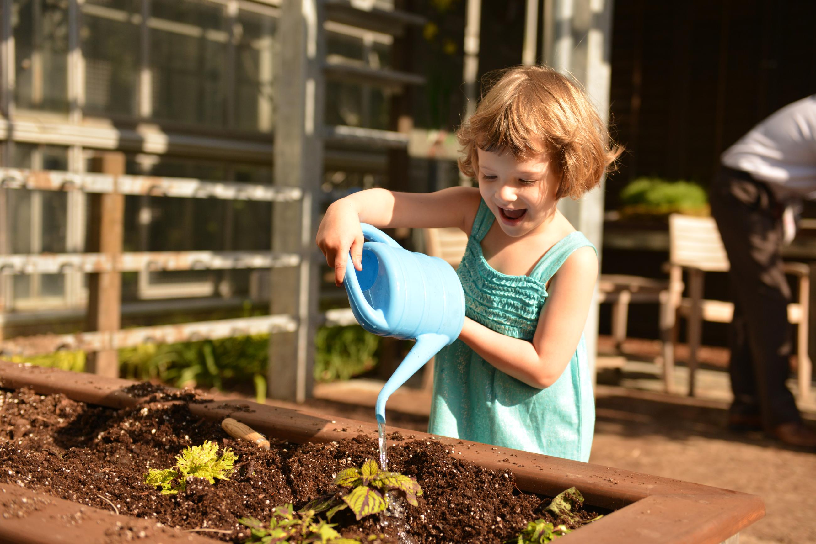 A girl uses a blue watering can to water a young plant