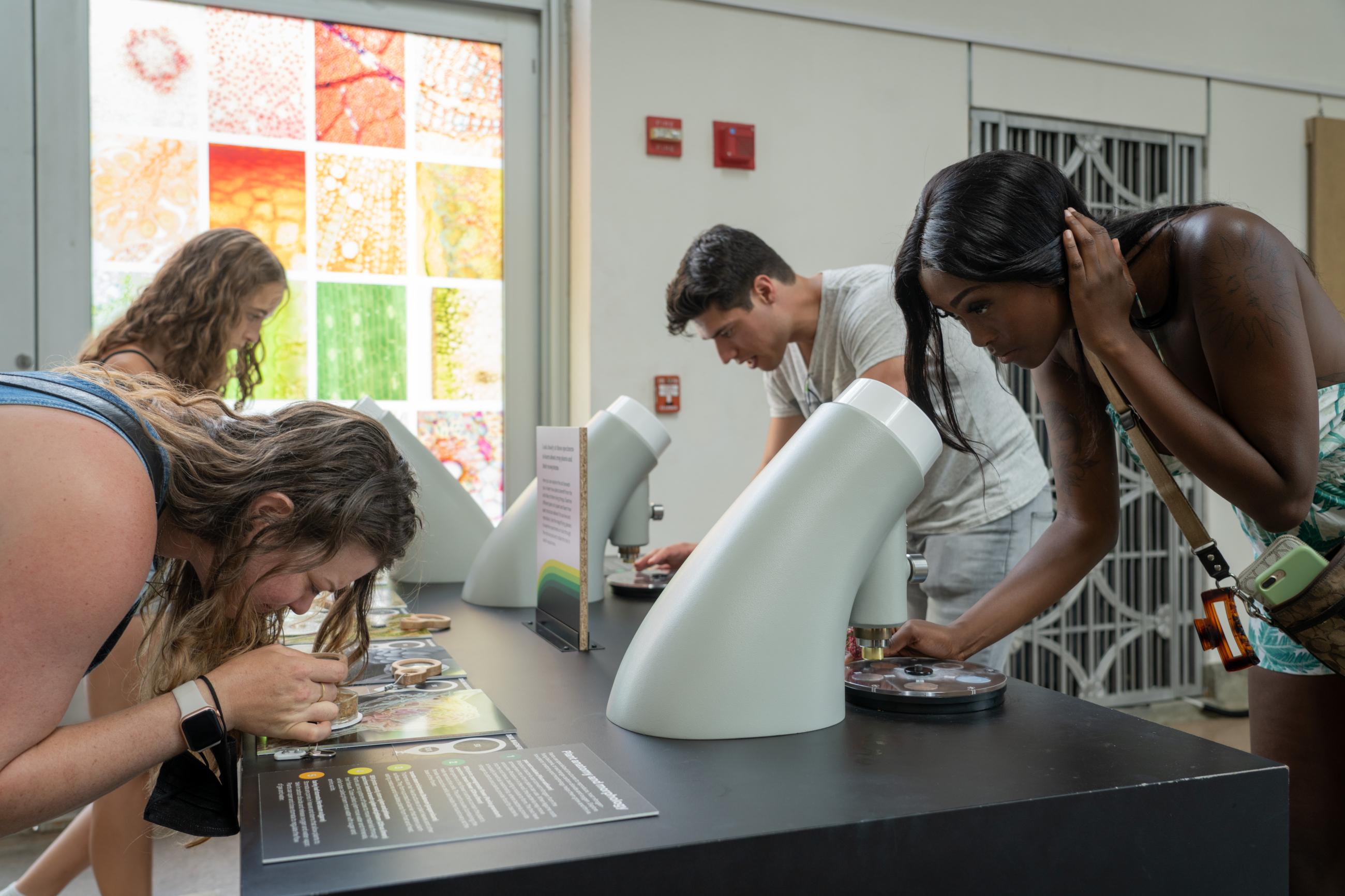 Visitors look into microscopes