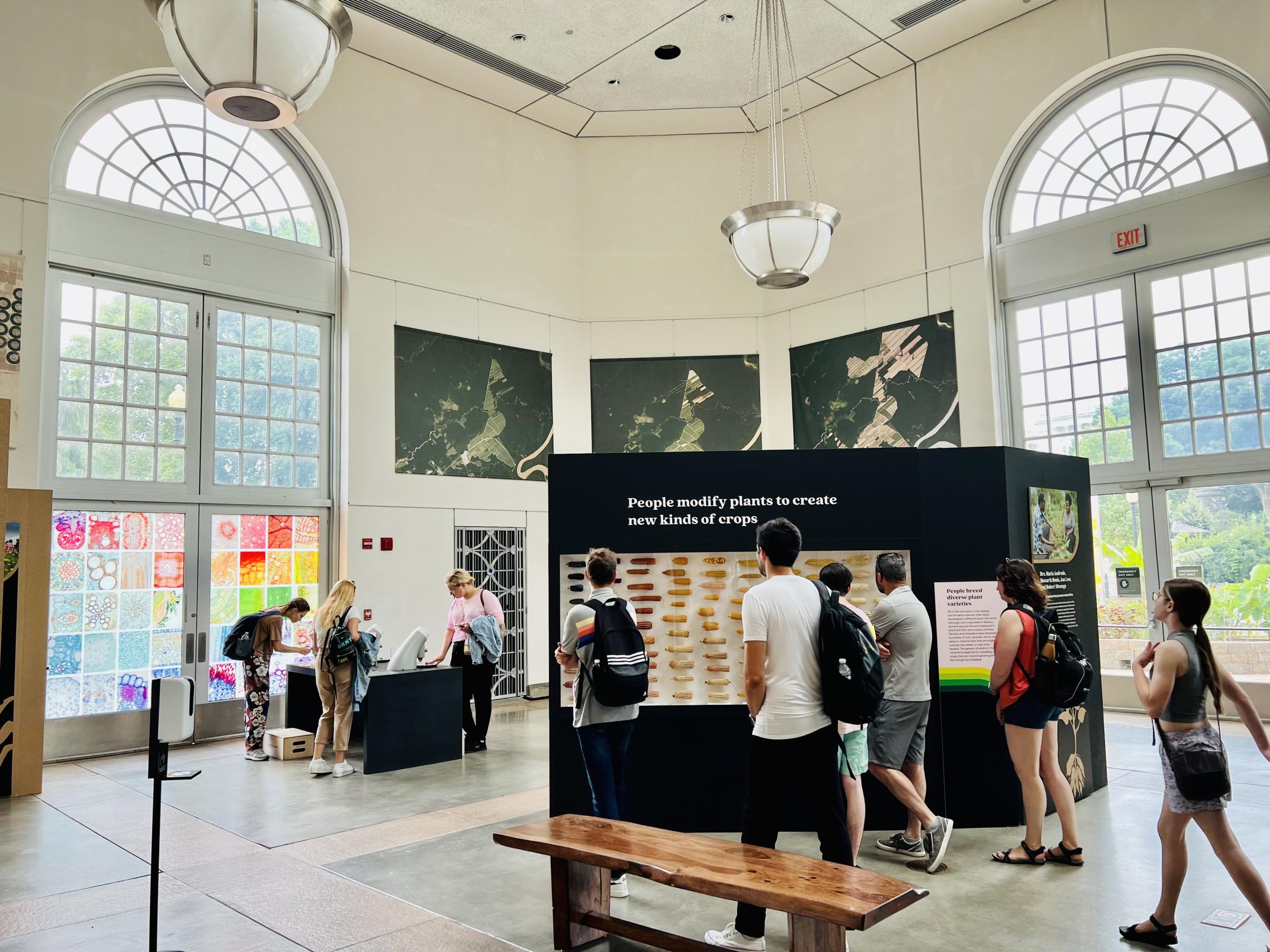 Visitors walk through exhibits featuring varieties of corn