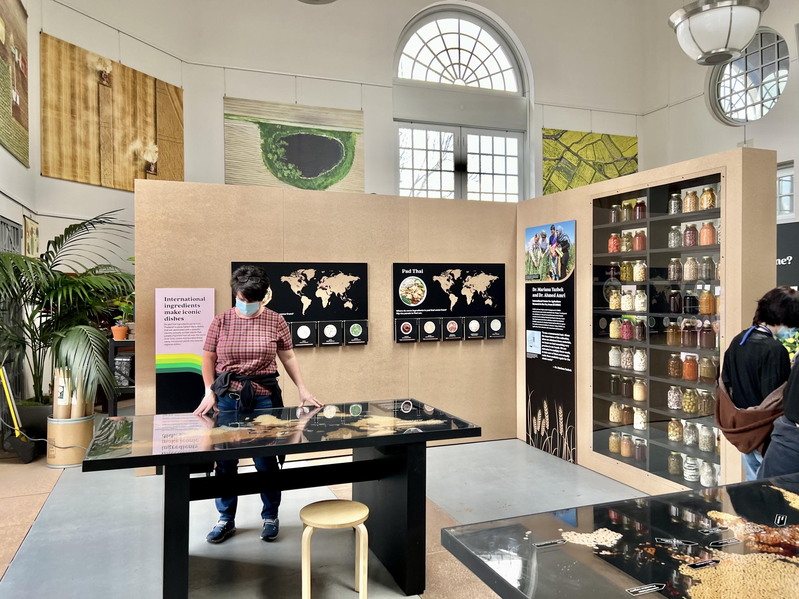 A visitor looks at a table showing grains of the world