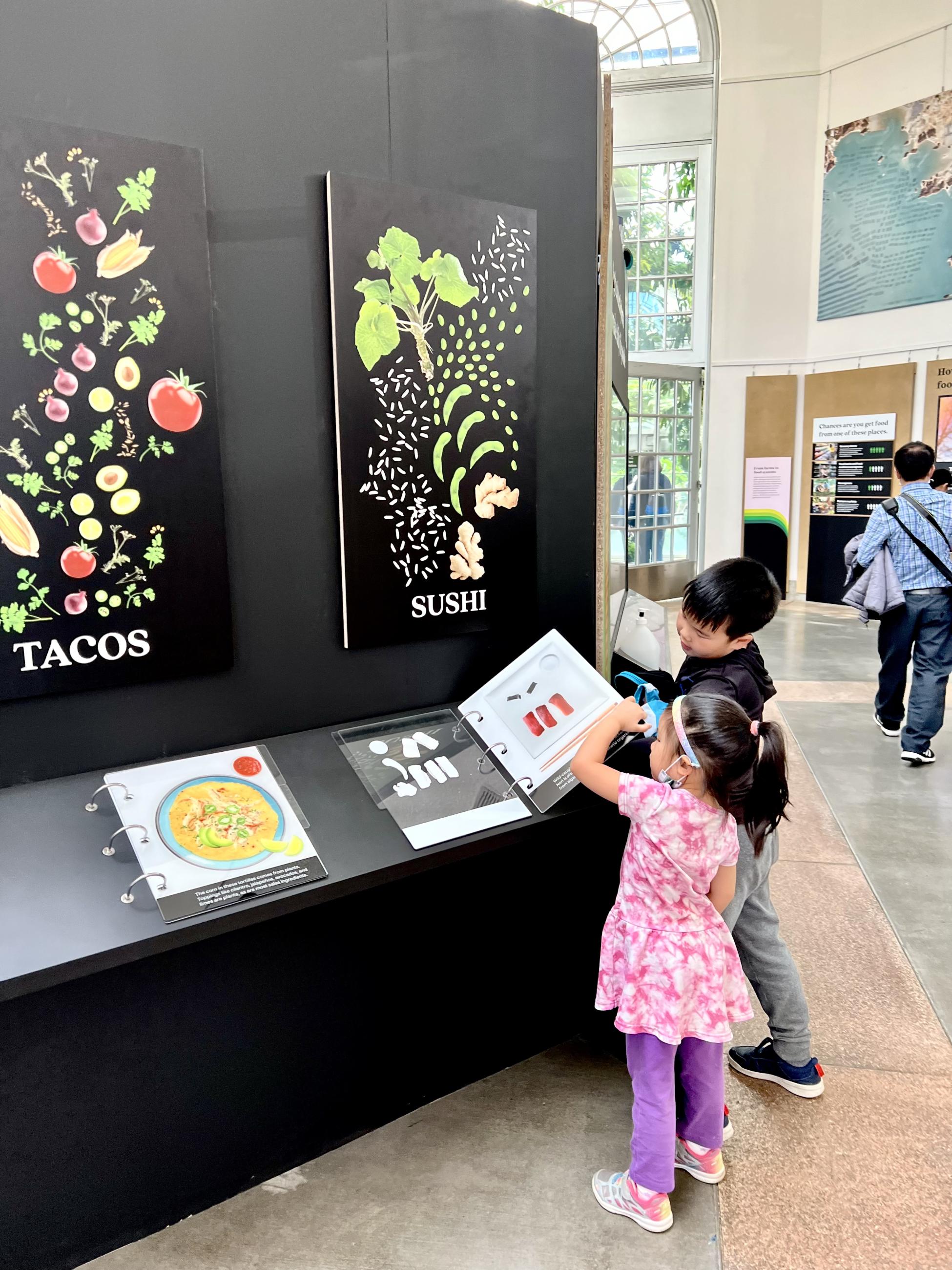 Two kids investigate recipe ingredients from plants