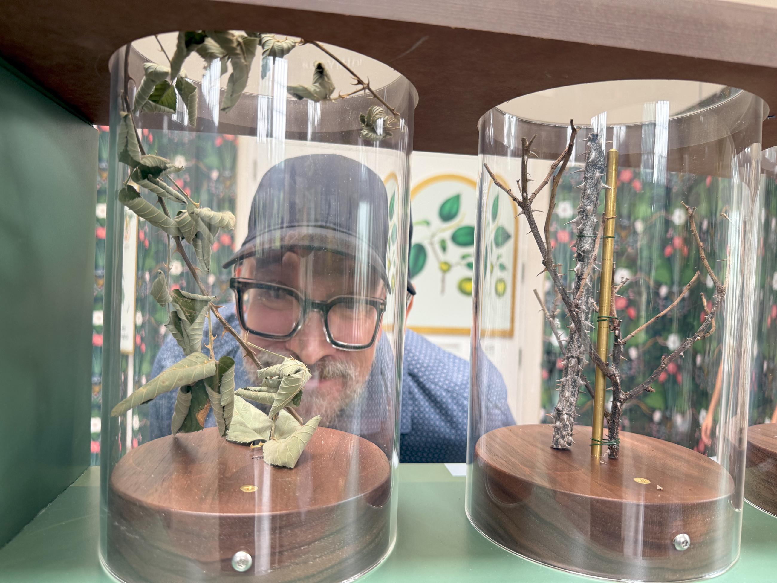 A man peers through a glass jar to closely view plants with thorns and prickles