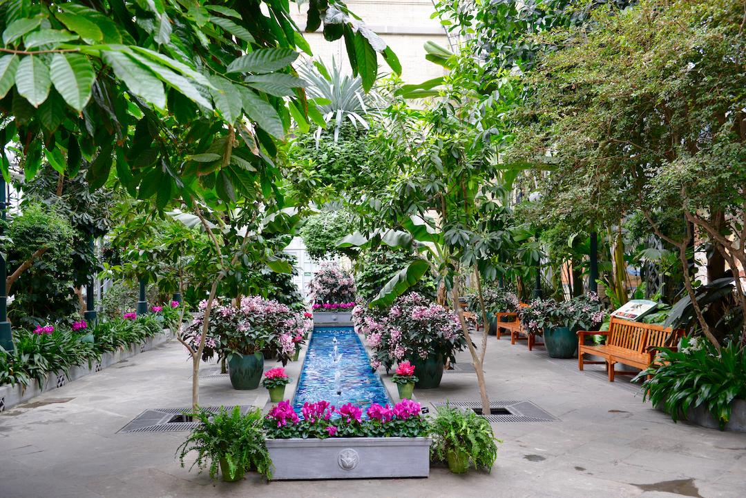 Conservatory Garden Court with a long pool and fountain and pink flowers surrounding