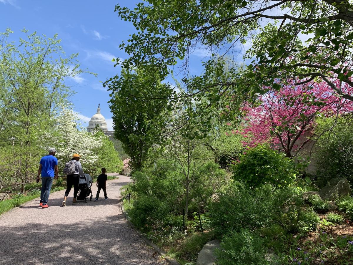 Three people walk down a path surrounded by shrubs and trees