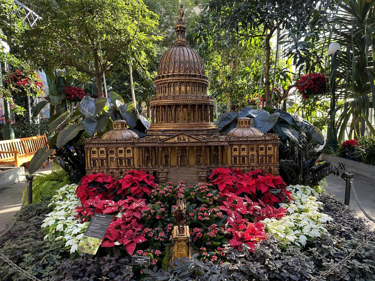 A model of the US Capitol created from plant parts is surrounded by red and white poinsettias