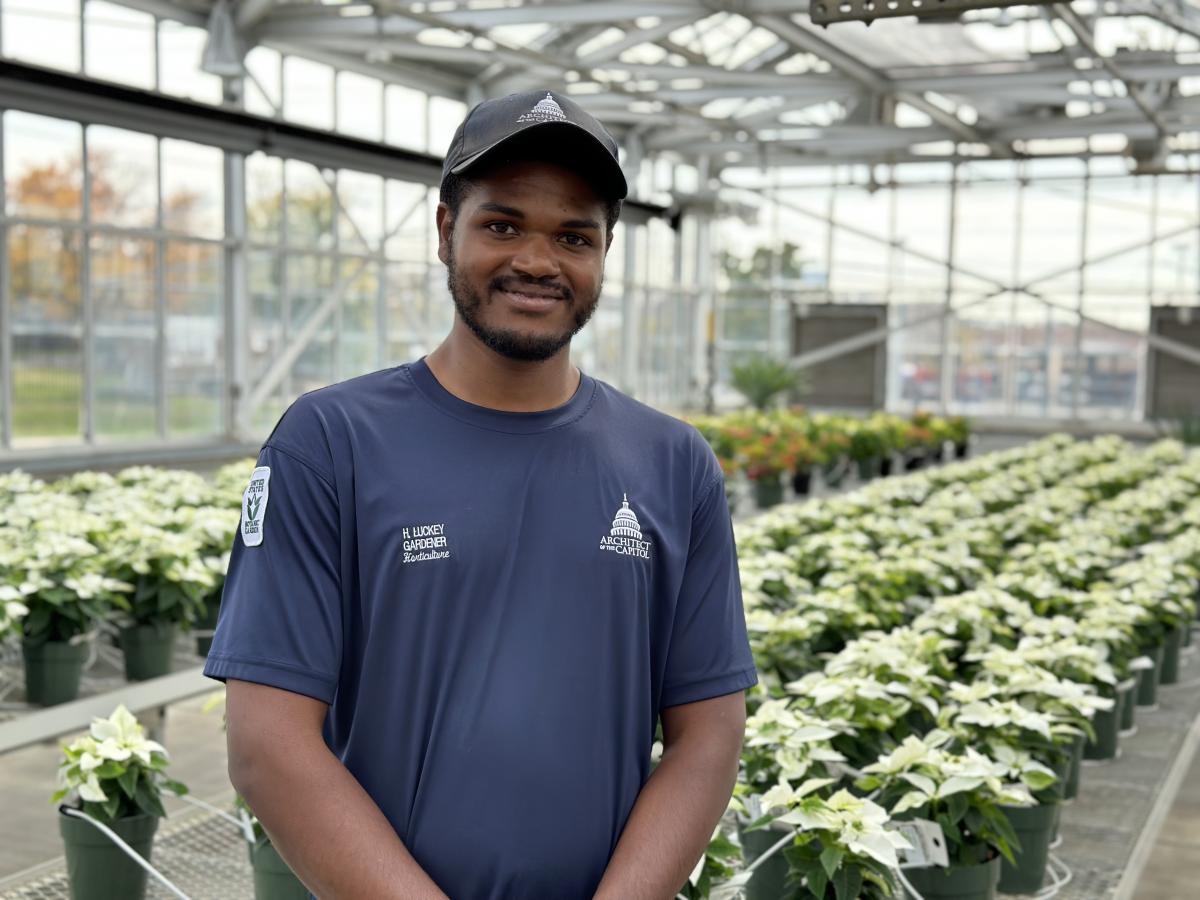 A man in a blue uniform shirt stands in front of hundreds of white poinsettia plants