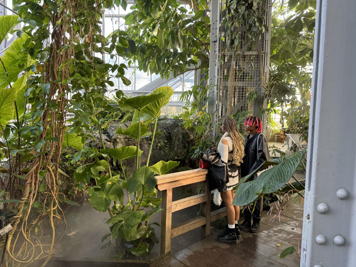 Two young women look at tropical plants in the U.S. Botanic Garden Conservatory